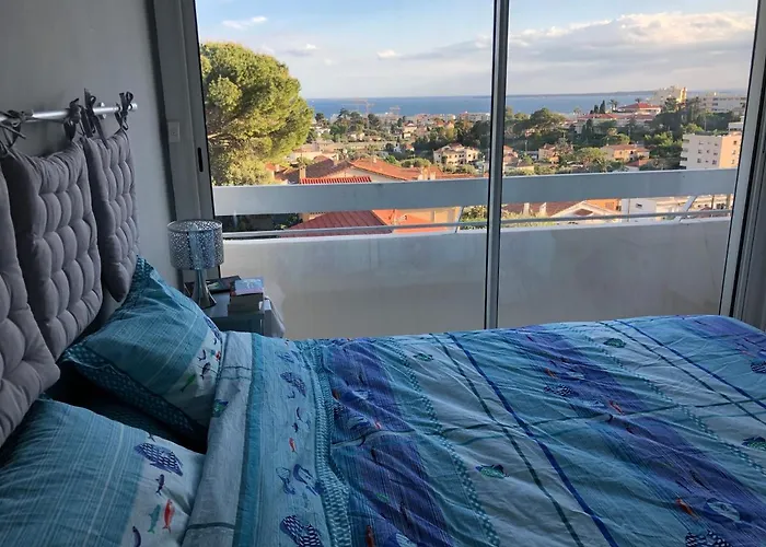 Vue Panoramique Antibes